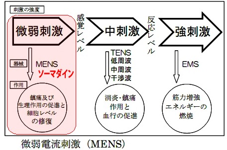 ソーマダイン